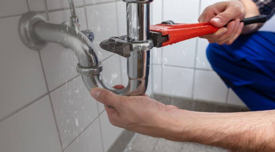 Professional Leak Detection services in Red Devil, AK